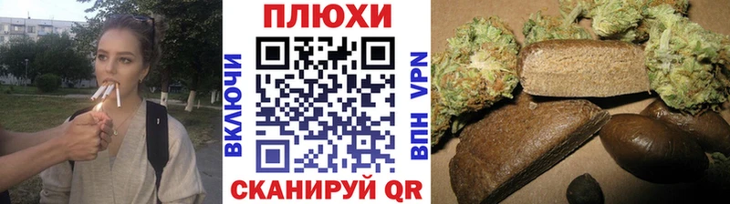 ГАШ убойный  Грозный 
