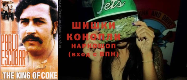 прущие грибы Богородицк